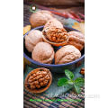 Hot Sale Goods Walnut Kernels Light Amber Helften (LAH)